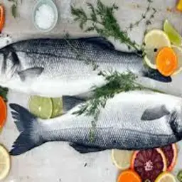 Seabass
