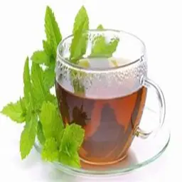Mint Tea Cup