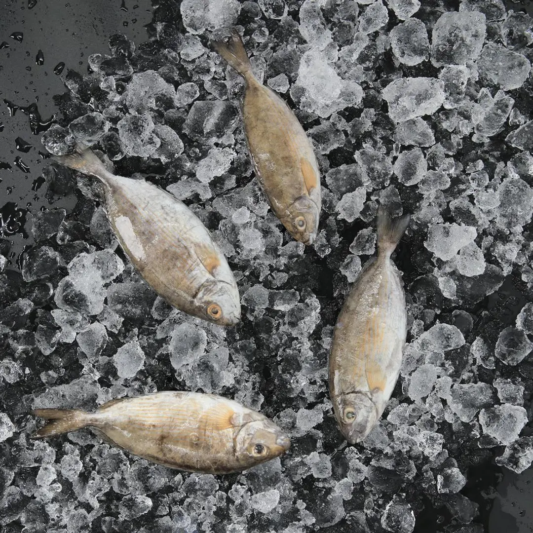 Sijan Fish Fried