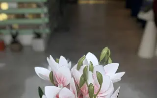 سلام الروح