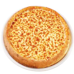 Plain Cheese Pizza