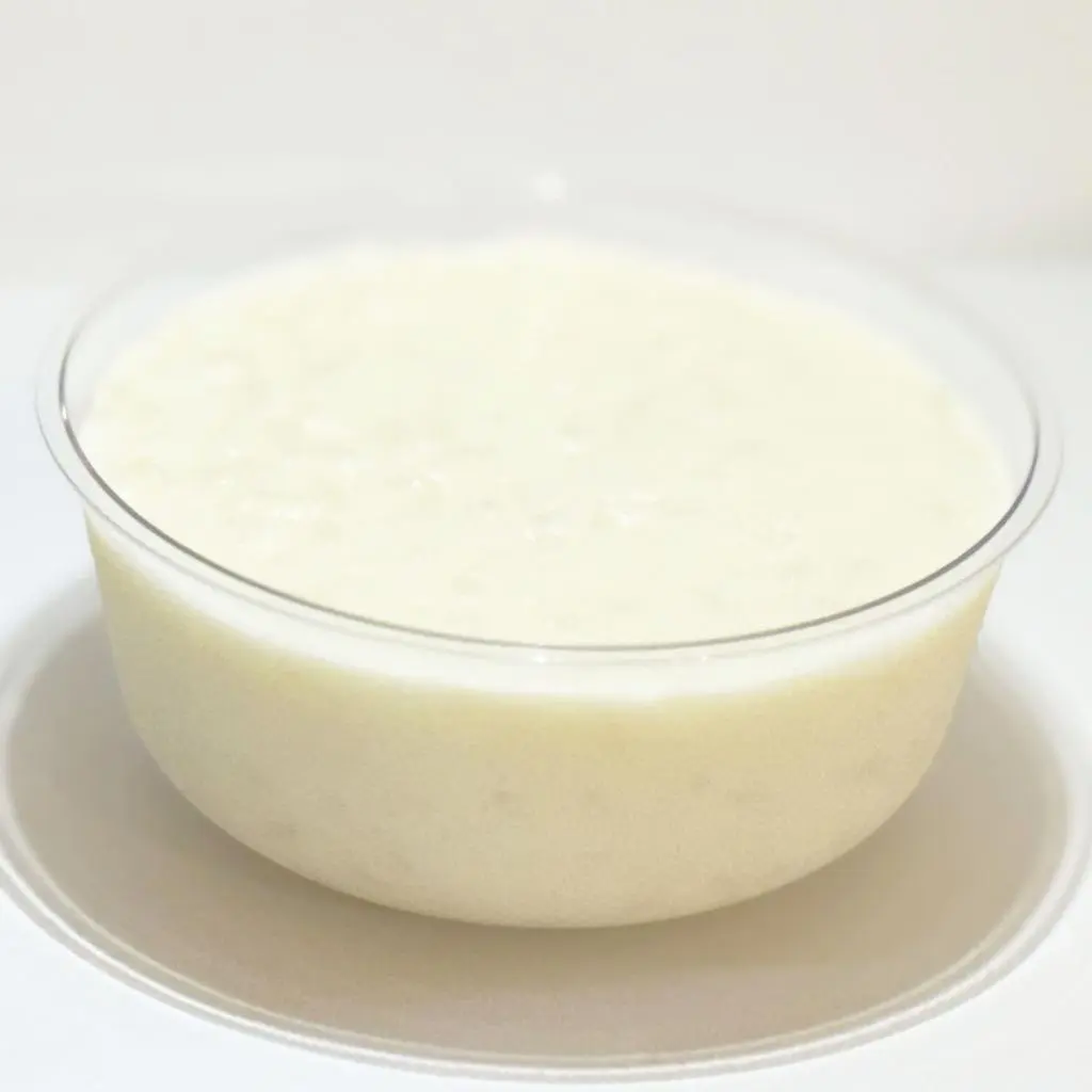 Plain Rice Pudding