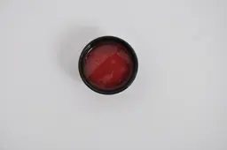 شطه شاميه