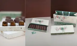 سيجنتشر