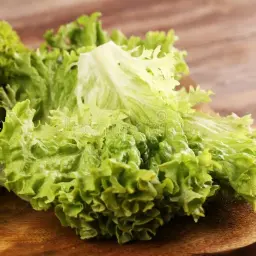 Lettuce
