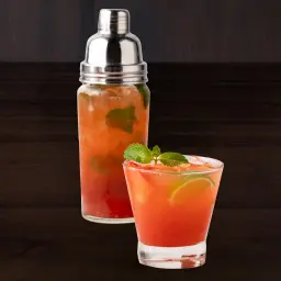 TROPICAL BERRY MOJITO SHAKER