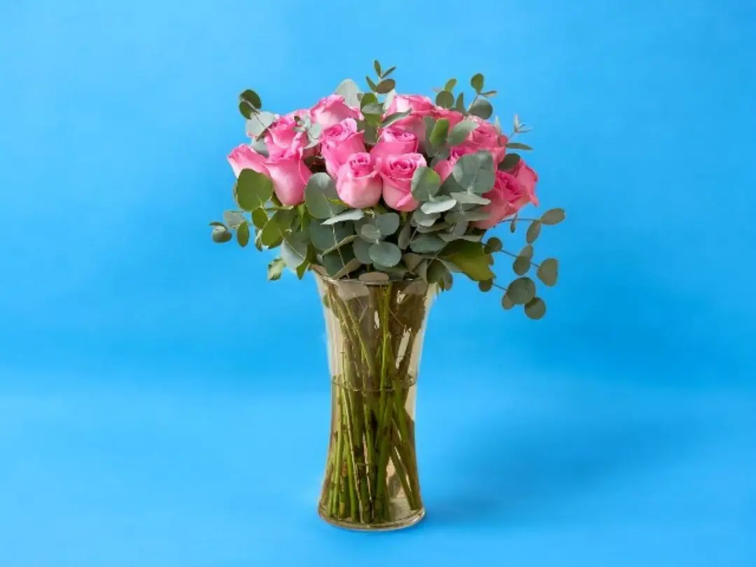 Wellness Pink Vase 0217