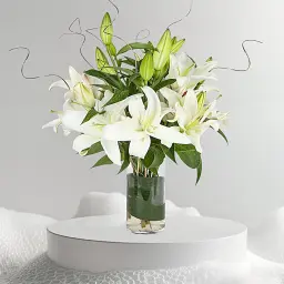 زهرة الزنبق
