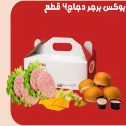 Chicken Burger Box - Pieces