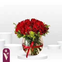 فازة العشاق