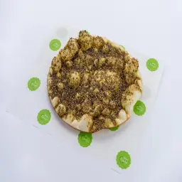 زعتر