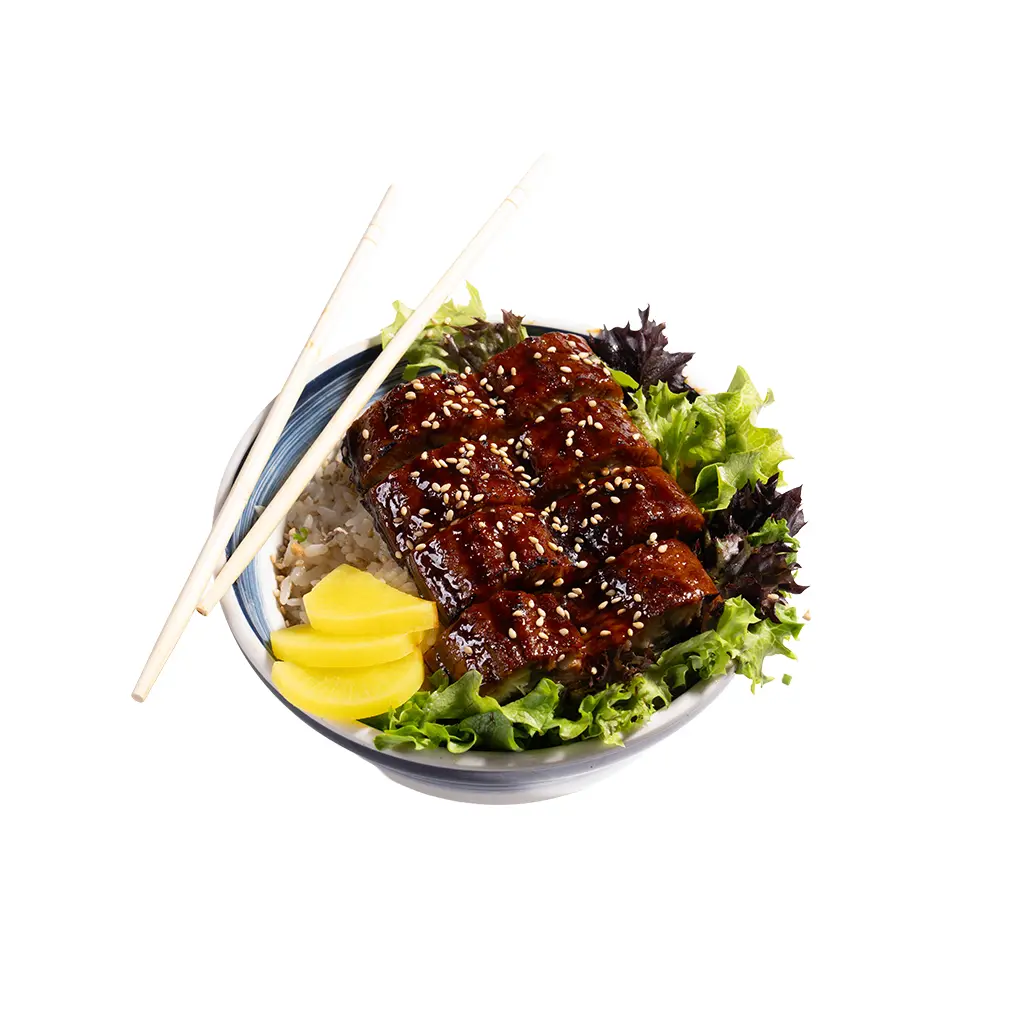 Eel Unagi Donburi