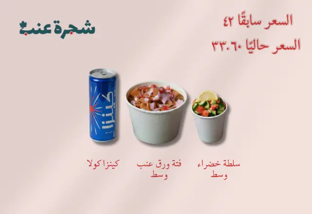 عرض (3)