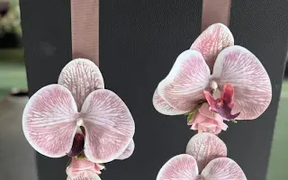 لمار