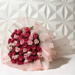باقة الألوان