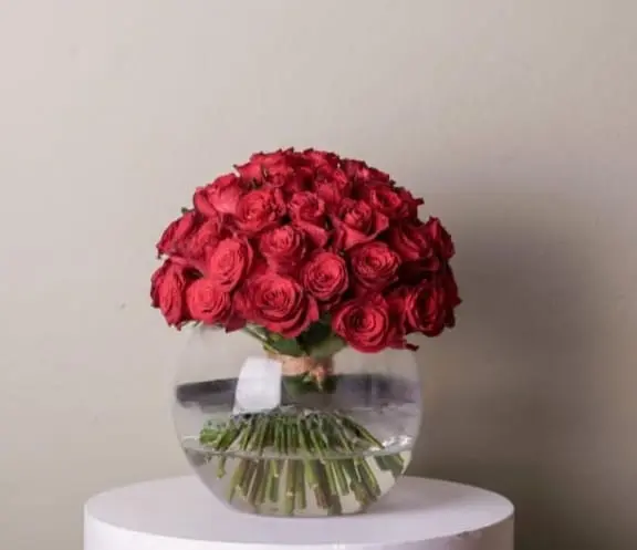 فازه مشتاق