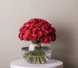 فازه مشتاق
