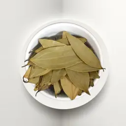ورق غار هندي