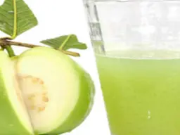 جوافة صغير