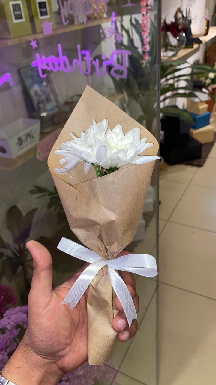 مني فلور