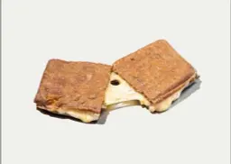 Mozzarella Sandwich