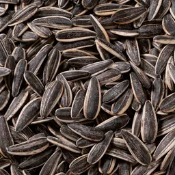 Cheese Sunflower Seeds