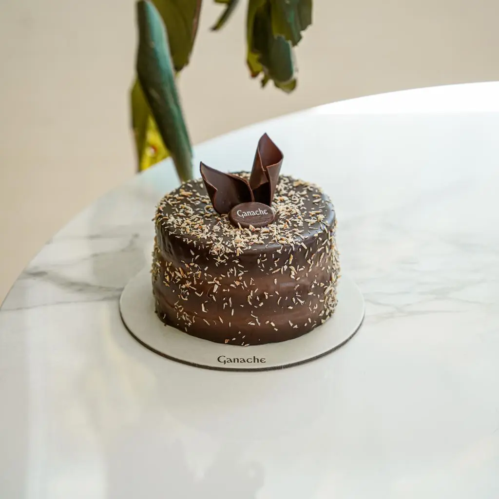 Chocolate Coconut Cake