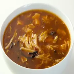 Special Hot and Sour Soup