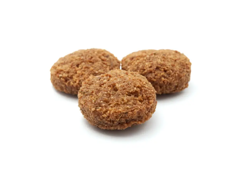 فلافل - 4 حبة
