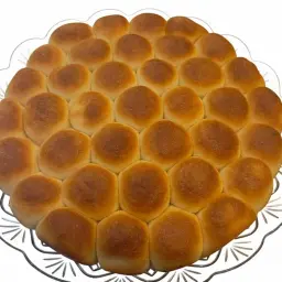 خلية سادة