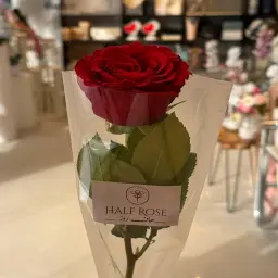 onr rose red
