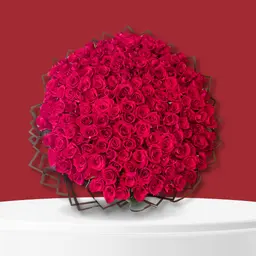 Big bouquet of roses