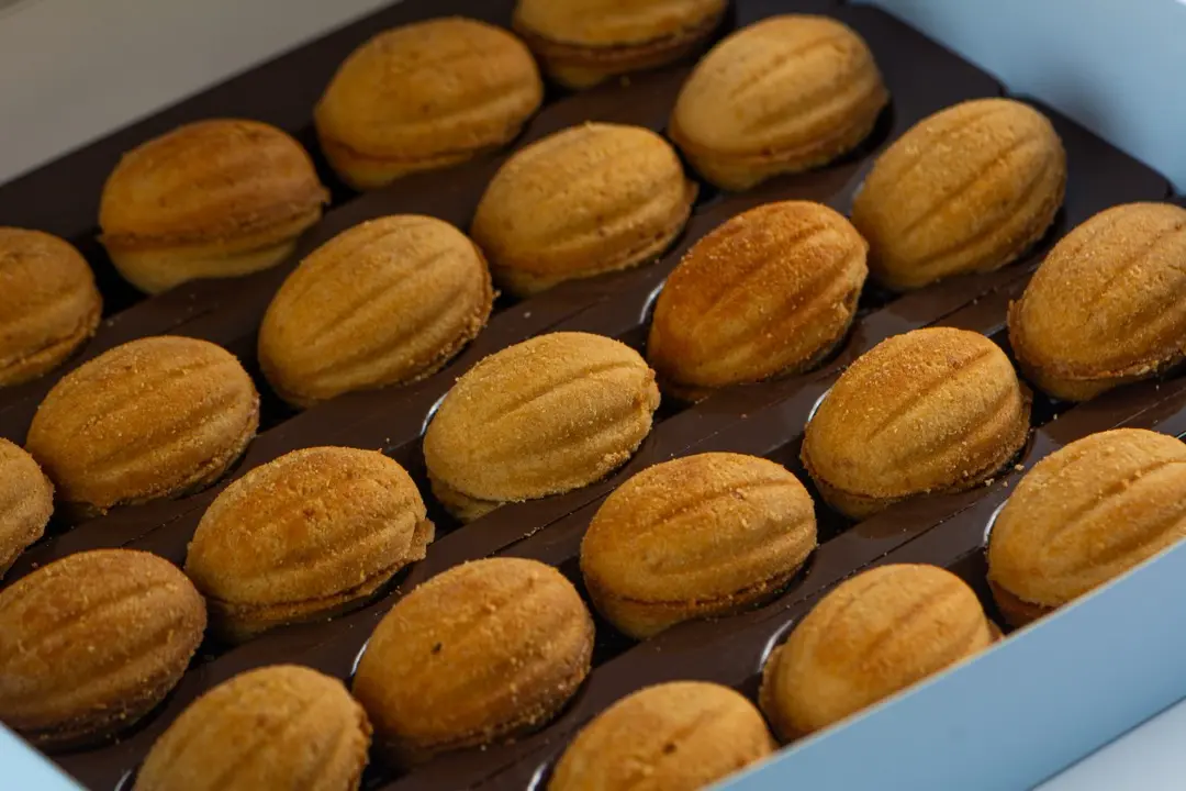 جوزية باللوتس
