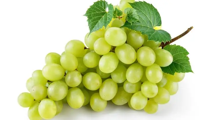 Green grapes