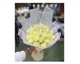 جوري ابيض