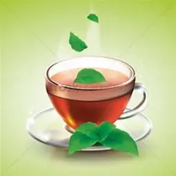 شاي نعناع