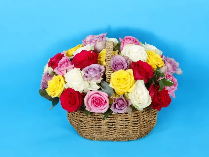 Colors Harmony Basket 0204