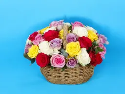 Colors Harmony Basket 0204