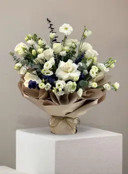 ساڤيرا