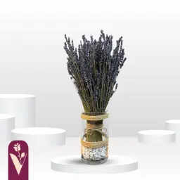 فازة الافندر