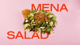( سلطة مينا حجم عادي)