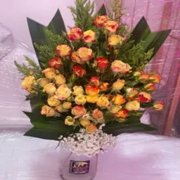 فازة 1