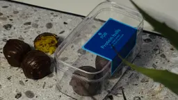 كور بيستاشيو بار