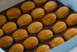 جوزية باللوتس