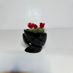 Dutch Cactus on Luxury Figurine 1