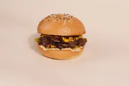 اريا سيجنتشر