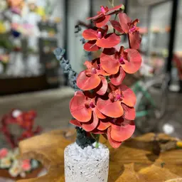 فازة روزي روز رخام 2
