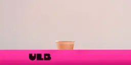 صوص البطاطس