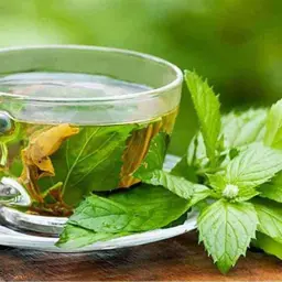 كوب شاي أخضر