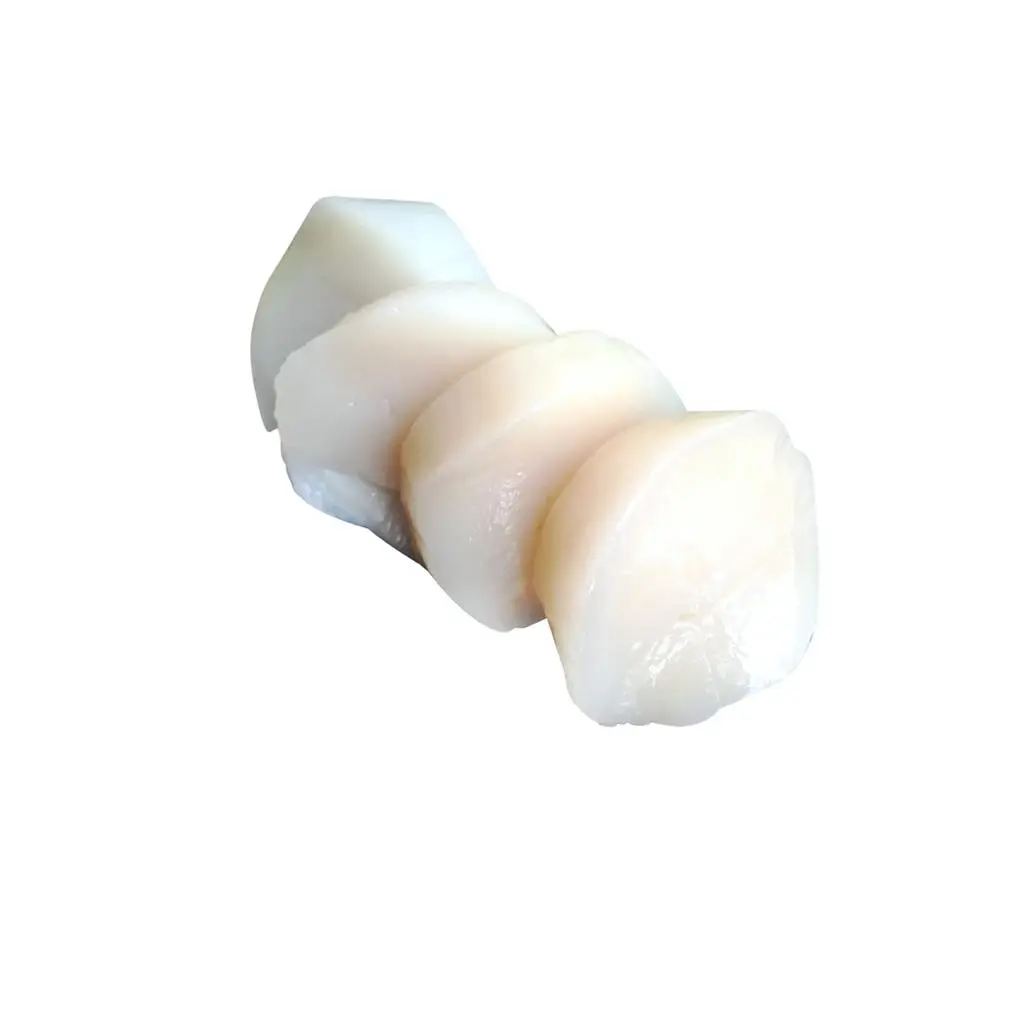 Scallop